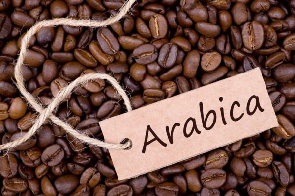 قهوه عربیکا